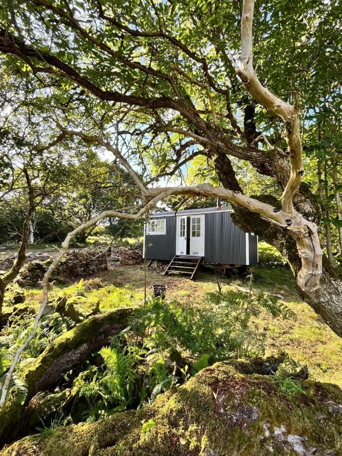 The Hazel Hut Villa Westport Dış mekan fotoğraf