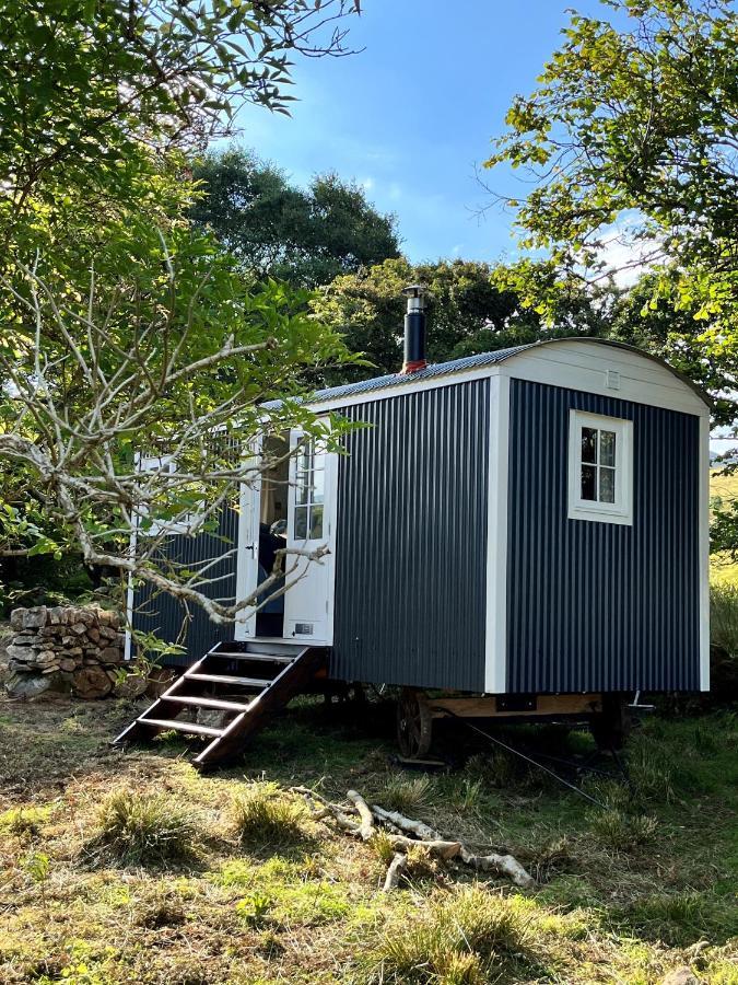 The Hazel Hut Villa Westport Dış mekan fotoğraf