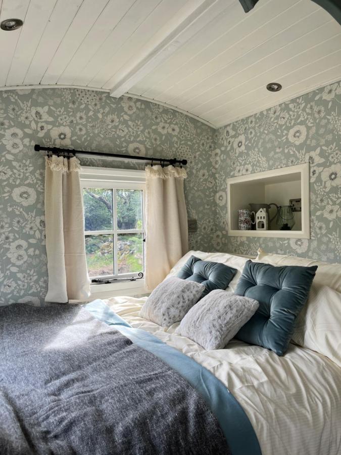 The Hazel Hut Villa Westport Dış mekan fotoğraf